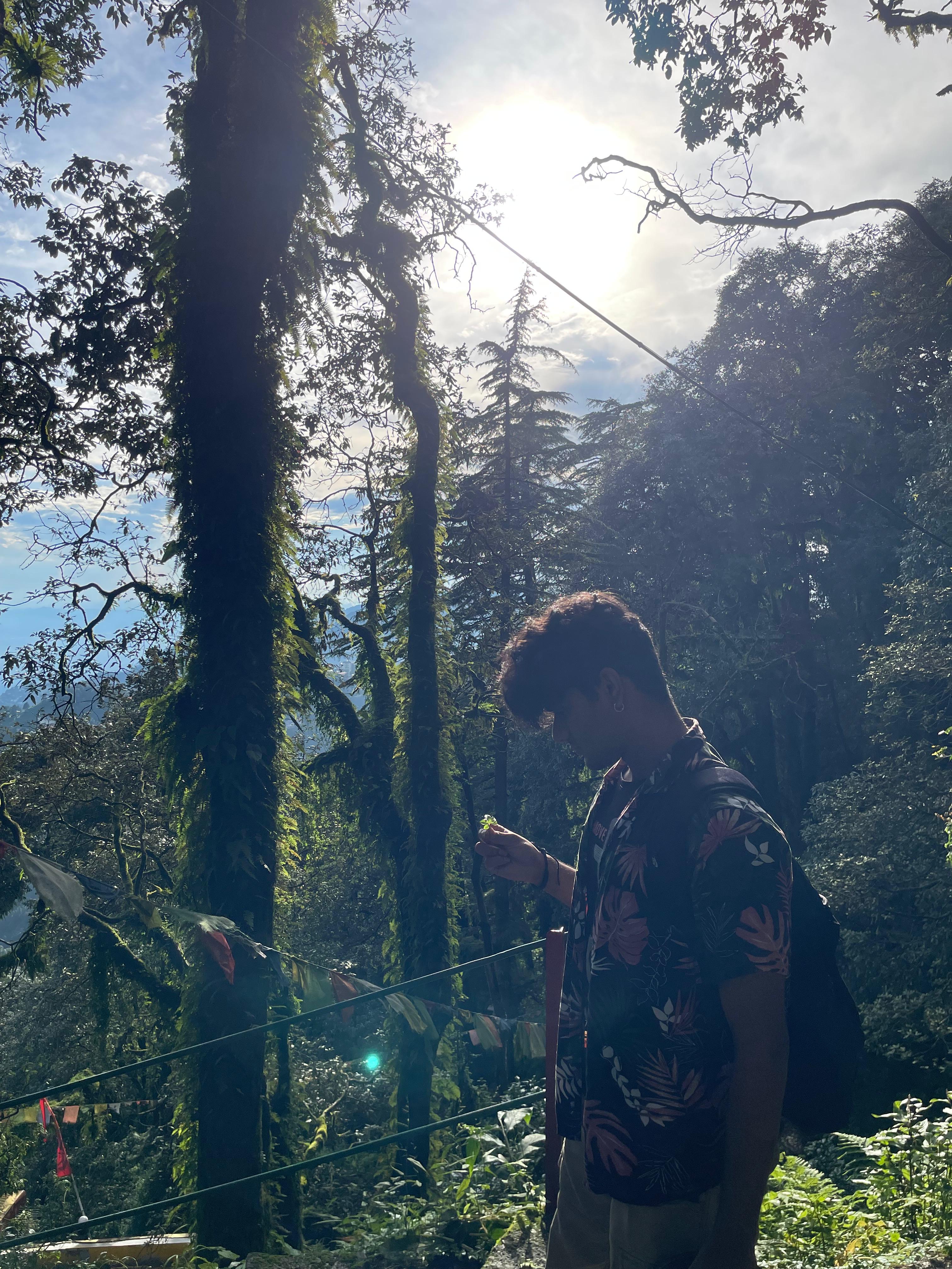 Pratik Makhija in a forest